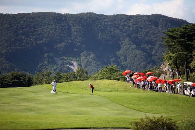 Ryder Cup betting：2025年預測、賠率同策略分析